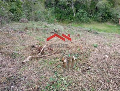 Terreno para Venda, em , bairro Ingleses do Rio Vermelho