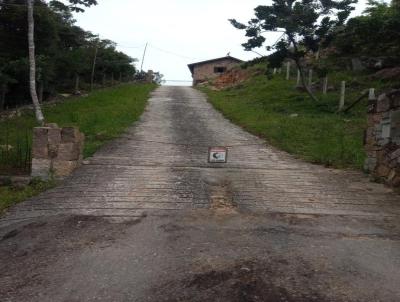 S�tio para Venda, em Florian�polis, bairro Vargem Grande