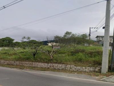imagem-miniatura