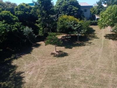imagem-miniatura