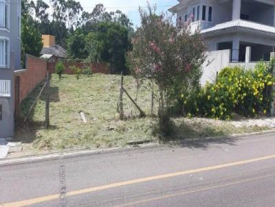 imagem-miniatura