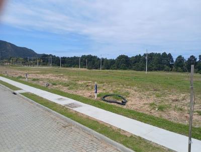 Terreno para Venda, em Florian�polis, bairro S�o Jo�o do Rio Vermelho
