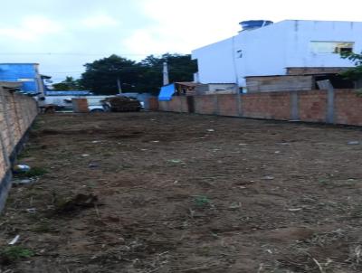 imagem-miniatura