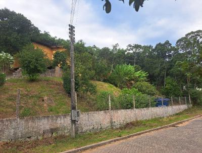 imagem-miniatura
