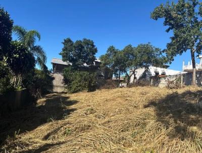 Terreno para Venda, em Florian�polis, bairro Ingleses do Rio Vermelho