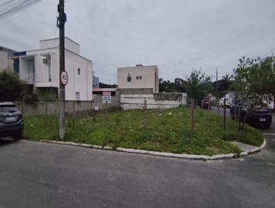 imagem-miniatura