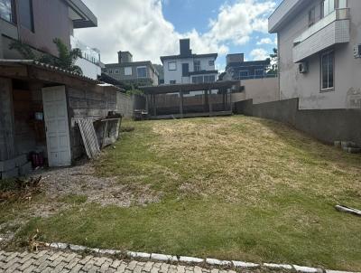imagem-miniatura